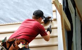 Best Siding Painting and Refinishing  in Falls City, NE